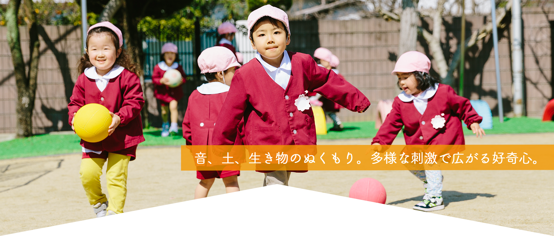 音、土、生き物のぬくもり。多様な刺激で広がる好奇心。